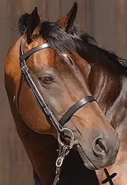 Caldene Plain Snaffle Bridle