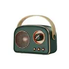 Portable Bluetooth Speaker with 2 Wireless Microphone, Mini Karaoke Machine Supp
