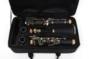 New Bb key clarinet Ebonite Wood With Clarinet Case Nickel plated Key Durable