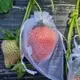 驅鳥器 防鳥防蟲水果套袋枇杷草莓無花果葡萄櫻桃果袋黃皮透氣果實保護袋
