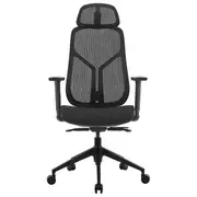 Bragg Executive Mesh Chair