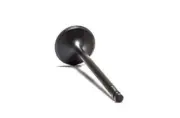 Intake Valve Polaris 330 Magnum 4x4 330cc 2003 2004 2005 2006 (See Notes)