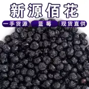 Baking Dried Blueberries 500g Bulk Snacks. Dried Blueberries, Preserved Fruits