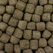 FD Staple Plus/High Growth (Medium 15kg)