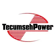 Tecumseh 640273 Carburetor