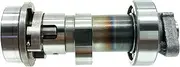 KIADZIE For Zongshen 172FMM-3A Engine CB250-F RA2 SR250-12 CPS250 CB 250-F XT250 XT-250 ZS172FMM-3A Camshaft