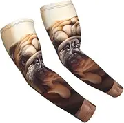 [FSCEV] English Bulldogs Sun Protection Arm Sleeves Outdoor Essentials Cooling Compression Golf Hiking Cycling