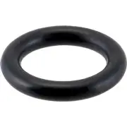 Cornelius 1006323 ORing