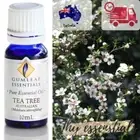 Gumleaf Essential Oil TEA TREE Massage and Diffuser| Aromatherapy 100% GENUINE