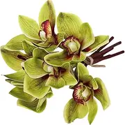 Cymbidium Orchid 10 Inch Lifelike Green Color Fake Orchid with Long Stem DIY Friendly Decorative Silk Flowers 6Pcs for Arrangement, Wedding, Party-