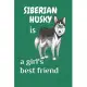 Siberian Husky is a girl’’s best friend: For Siberian Husky Dog Fans