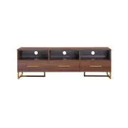 Shaan Walnut and Gold TV Unit
