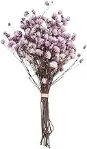 Breath Natural Fresh Dried Preserved Flowers Small Bouquet Dry Flowers Home Wedding Photography Backdrop Decor(Purple)