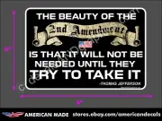 TRUMP 2024 STICKER 2ND AMENDMENT ANTI DEMOCRAT MAGA DECAL