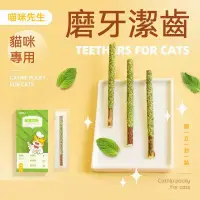 在飛比找蝦皮商城精選優惠-🐱喵咪先生 貓薄荷 玩具 自嗨 解悶 小貓 木天蓼 貓咪 磨