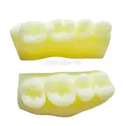 Dental Teeth Model Caries Decay Composite Resin Restore Tooth Simulate Class Ⅱ