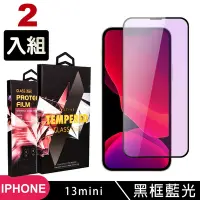 在飛比找Yahoo奇摩購物中心優惠-IPhone13MINI 高品質9D玻璃鋼化膜黑邊藍光保護貼