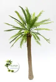 COCONUT PALM TREE MODEL 1/72 SCALE. APPROX 16 CM. HEIGHT. TPS-004