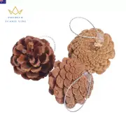 Pine Cones Ideal for Crafts Woody Pine Cones Perfect for Christmas Tree Decorati