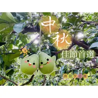 在飛比找蝦皮購物優惠-【產地直送】40年老欉麻豆文旦-侑甜文旦園嚴選10斤禮盒–預