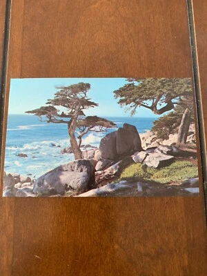 Pescadero Point Cypress Pebble Beach California CA Postcard UNP VTG Unused
