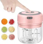 Electric Mini Food Chopper, 250ML USB Portable Processor for Garlic, Ginger, Chili, Vegetables, Onions
