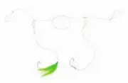 Seastriker PR02 Flounder Pop Rig 2 Hooks Chartreuse Bucktail