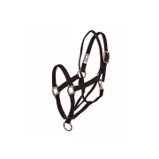 Aime Imports Basic Pull Back Training Halter