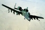 A-10 A / A-10 THUNDERBOLT II WARTHOG 8x12 GLOSSY PHOTO PRINT