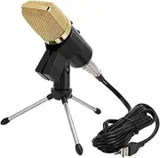 Richer-R Unidirectional Condenser Microphone Voice Recording Studio Mic for PC Computer,Recording Microphone Studio Microphone with a Tripod,Computer Microphone with Low Noise,Wide Dynamic Range