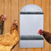 Automatic Chicken Feeder Automatic Coop Dispenser for Duck Chook Hen Pigeon