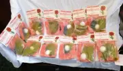 12 VTG Giant Feather Poppy Flowers DIY Kits Fibre Craft 2542 Huge Lot Poppies
