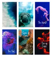 The Underwater Tarot Deck (78 cards) *MADE TO ORDER*