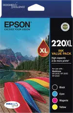 Epson 220 High Capacity DURABrite Ultra 4 ink Value Pack