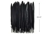 10 Pieces - Black Goose Pointers Long Primaries Wing Feathers Costume Angel