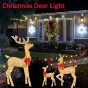 Christmas Decorations Lighted Standing Deer LED Lights Reindeer Outdoor Decor