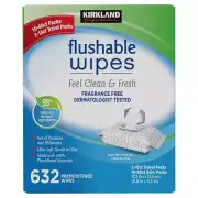Newest Kirkland Signature Flushable Wipes 632 Wet Moist VitaminE+AloeTowelettes