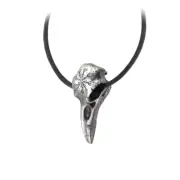 Alchemy England Gothic Helm of Awe Icelandic Raven Skull Pendant Necklace P687