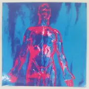 Nirvana – Sliver/Dive 7” Black Vinyl – New