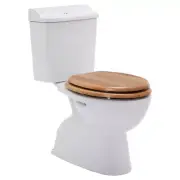 Johnson Suisse - Colonial II Close Coupled Toilet Suite - S or P Trap