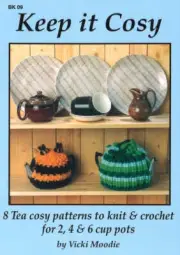 Keep it Cosy by Vicki Moodie (Knit and Crochet)