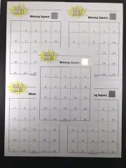 5 Count 25 Square SCRATCH OFF Raffle Board Fund Raiser Winning Gambling Squares