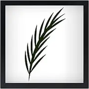NAOKBOEE 16x16 Picture Frame in Black, Square Frames for Wall Mounting, Photo Frames with Plexiglass