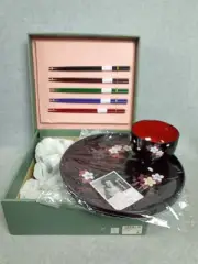 New Chinese Plastic & Enamel 5 Pr. Chopsticks, 5 Rice Bowls, & Tray In Box