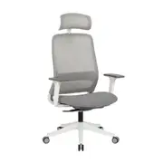 Maestro Furniture Dian High Mesh Back Molded Foam Seat Ergonomic Computer Office Working Chair Grey