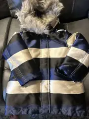 RARE J. Crew Crewcuts Girls Jess Puffer Coat In Satin Colorblock