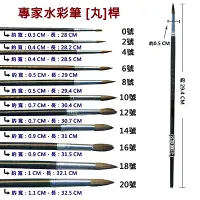 在飛比找Yahoo奇摩購物中心優惠-A專家16號水彩筆 丸