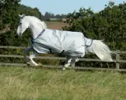 Bucas Power Turnout Light Rug