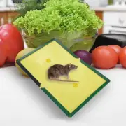 1PCS Mouse Traps Rat Mice Mouse Trap Board Snare Catcher Board Pad Board AU