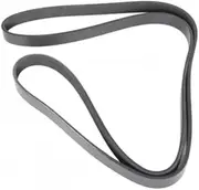 Replacement# 24100558 Belt 1pc/set